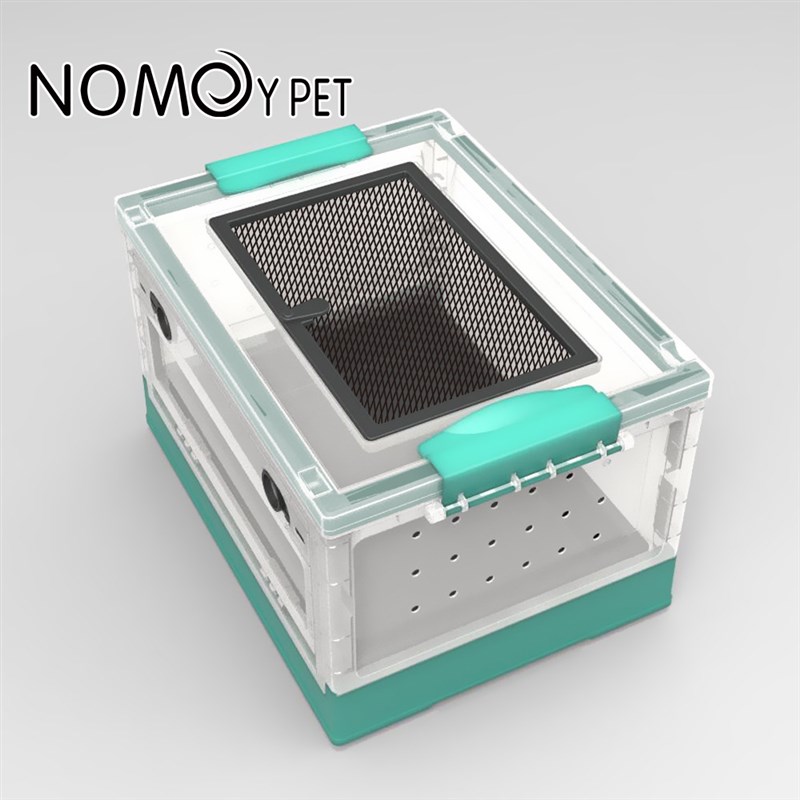 爬宠高透角蛙R属豹纹睫角爬虫饲养箱巨人守宫蜘蛛角蛙饲养盒