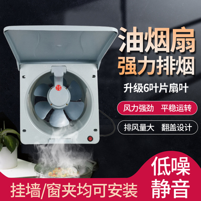纯铜10寸强力家用易拆洗排风扇厨房油烟换气扇窗式静音墙式抽风机