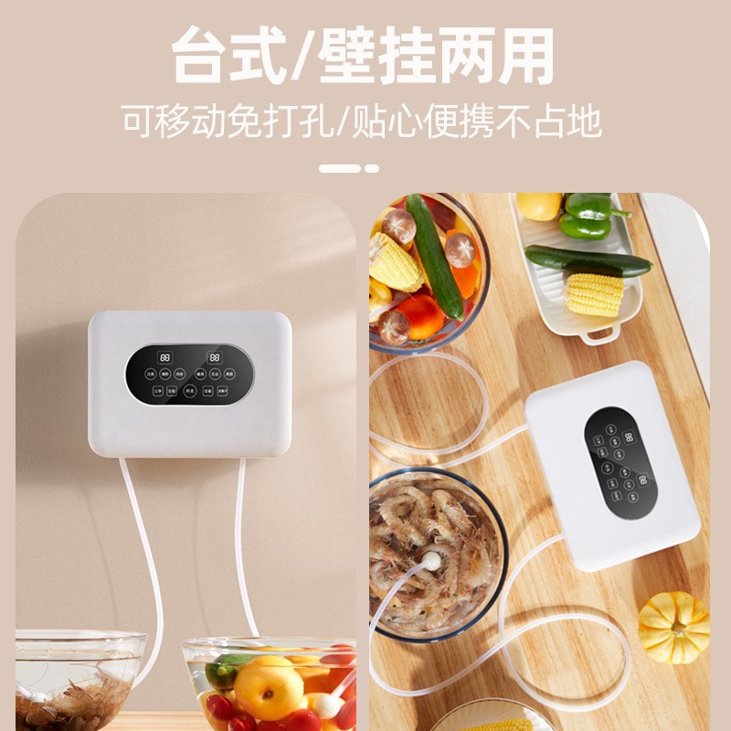 果蔬消毒机果蔬清洗机多功能双头臭氧除农残洗菜机食材净化器