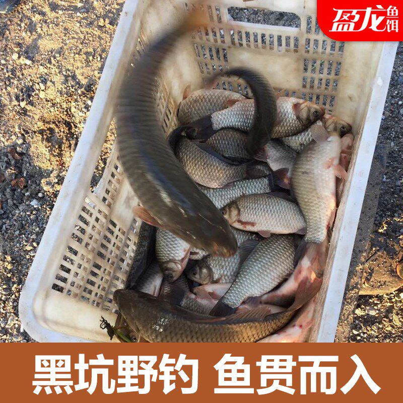 强次5克 药mpt每效诱食剂钓台钓饵