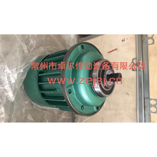 厂家直供ZDR系列锥形转子制动电机 ZDR锥形电机 货期快