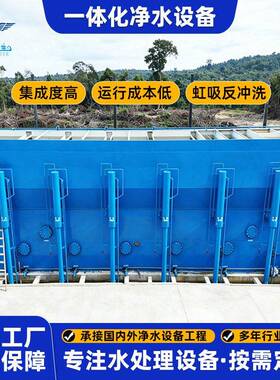一体化净水设备全自动虹吸反冲洗河水井水净化设备农村生活饮用