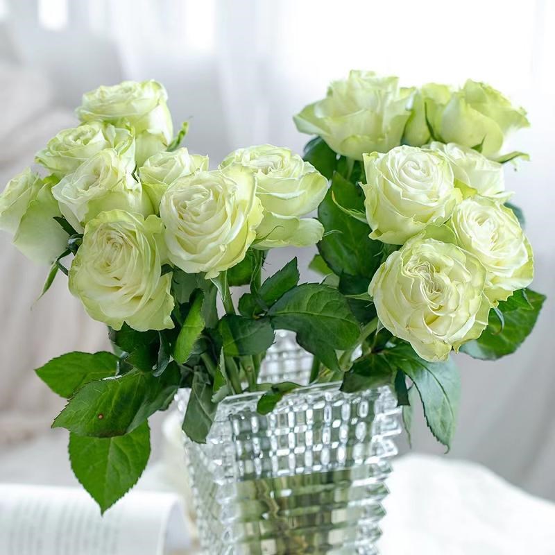 稀有玫瑰鲜花云南基地直发斗南鲜切养插花情人节花束