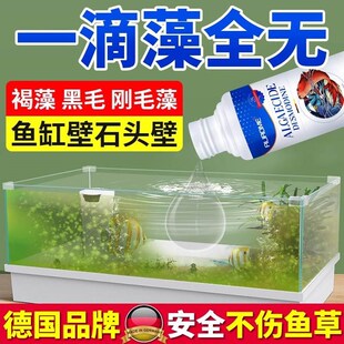 鱼缸除藻去苔剂鱼缸壁专用绿藻清除去青苔丝褐黑毛水藻素