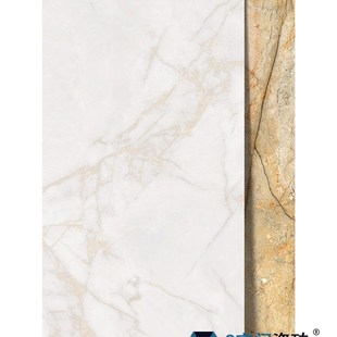 柔光肌肤质感大理石纹瓷砖别墅客餐厅墙地砖服装连锁店工程岩板砖