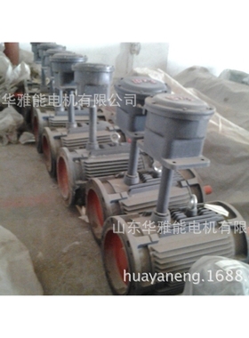 YBFBX5-315S-4-110电动机ExdbⅡCT4 Gb/ExtbⅢCT130℃ Db IP65F级