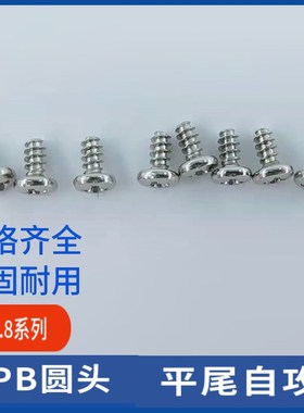 镀镍/黑色盘头十字圆头平尾平嘴自攻螺丝钉PB2.8*4*5*6*8*10*12
