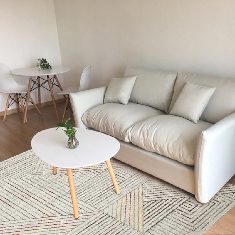 地毯客厅沙发茶几卧室满铺可爱房间全铺大面积床边家用ns风