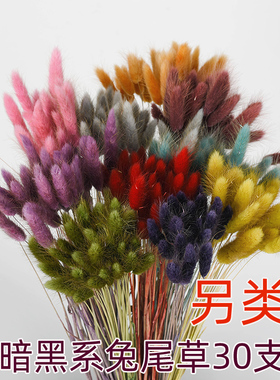 暗兔尾草干花花束灰色风干花真花y材料ns拍照道具装饰