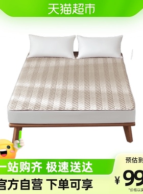 OVO家纺床罩床垫薄款罩防螨床笠垫被