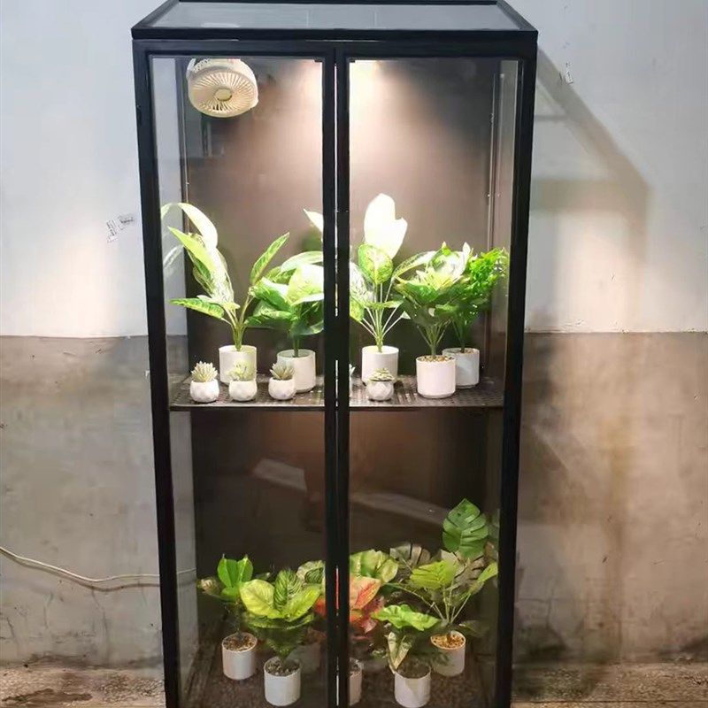热带植物展示柜室内温室培育柜生态简易热植物展示柜闷花蜡烛,住宅家具,家用陈列柜,淘宝优惠券,粉丝福利购,淘宝优惠卷