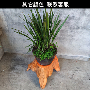 实根根子客厅家用木雕凳子木桩树墩造型茶台支架底座配凳原木树桩
