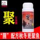 玖零渔翁红虫腥聚喔疯秋冬季 野钓黑坑鲫鱼鲤鱼鱼饵窝料添加剂小药