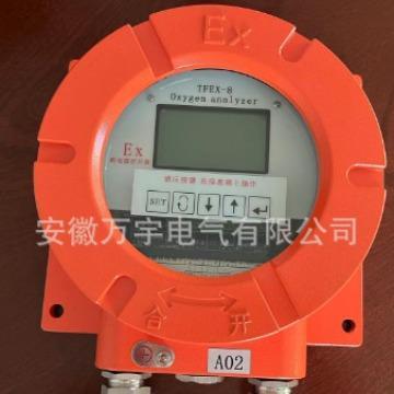 Zro2-IIZro2-III氧量分析仪氧化锆氧量分析仪