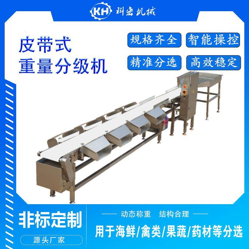 山东厂家皮带重量分选机海鲜类草鱼金鲳重量分选整鸡整鸭智能分拣,工业油品/胶粘/化学/实验室用品,其他实验室设备,淘宝优惠券,粉丝福利购,淘宝优惠卷