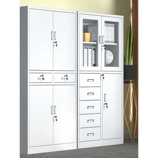 ft文件柜铁皮储物柜落地资料柜档案柜家用带玻璃门收纳柜办公室柜