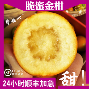 正宗广西融安脆蜜金柑第三代大金桔现摘新鲜水果顺丰包邮