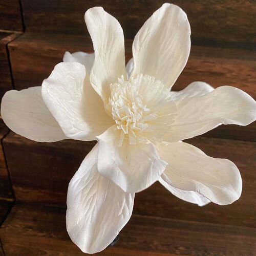 Plant Handmade Flower Flower Home Decoration Dried Flower Fl