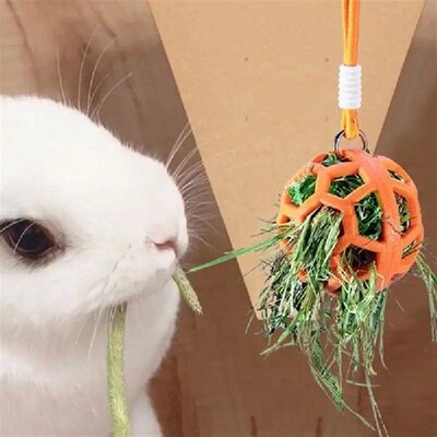 Bunny Hay Feeder 4 Pieces Hay Balls For Rabbits Small