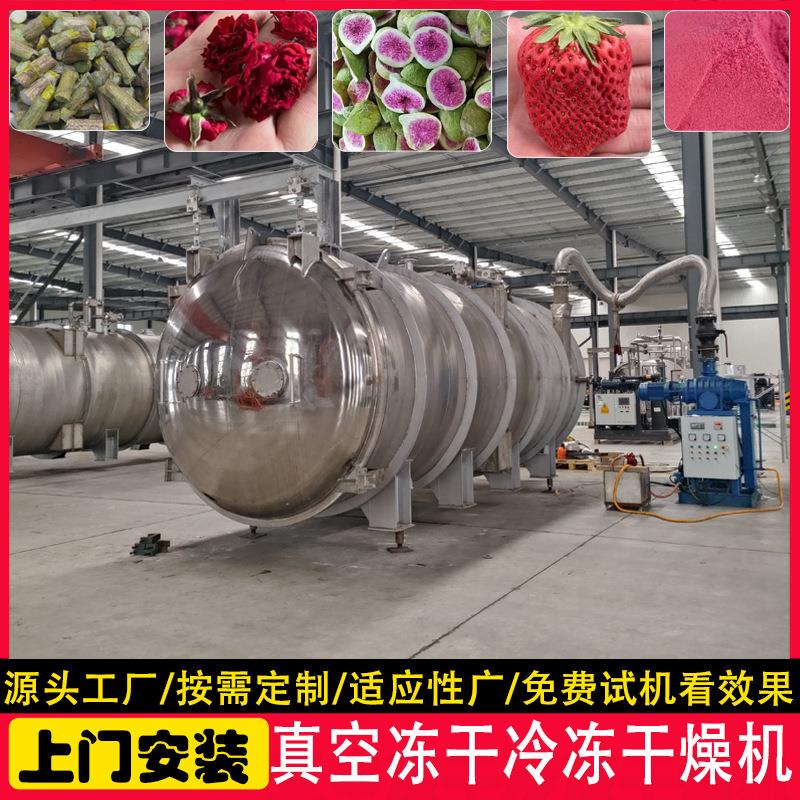 冻干水果蓝莓黑莓智能设备 豌豆蔬菜冻干机长时间保存 冷冻干燥机