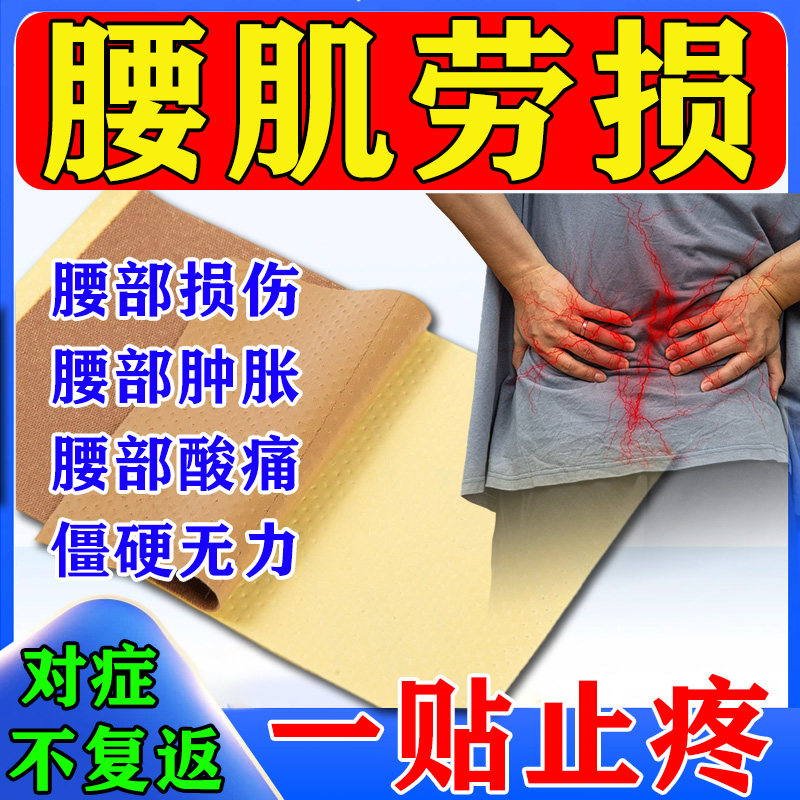 【津奉】麝香壮骨膏10片/袋