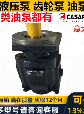 意大利CASAPPA凯斯帕液压齿轮油泵马达KP20 KP30 KP25 KP40 KP35