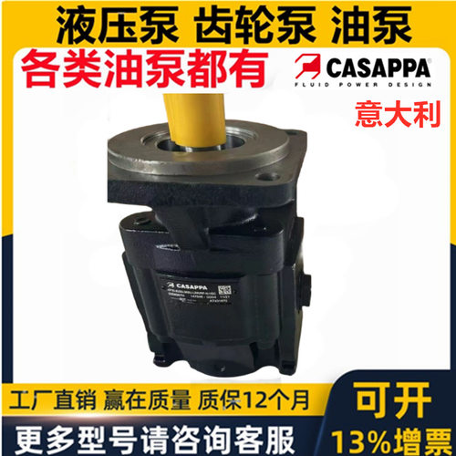 意大利CASAPPA凯斯帕液压齿轮油泵马达KP20 KP30 KP25 KP40 KP35