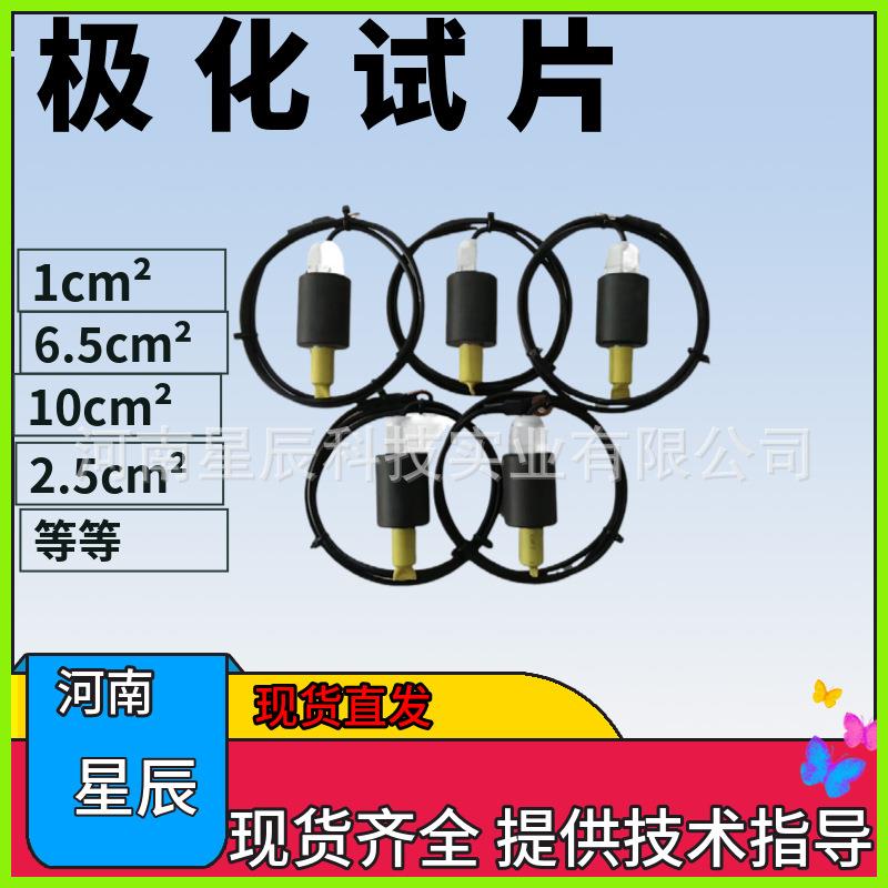 直流电流极化试片标准腐蚀试片(80号钢片)阴极保护检查片6.5mm2