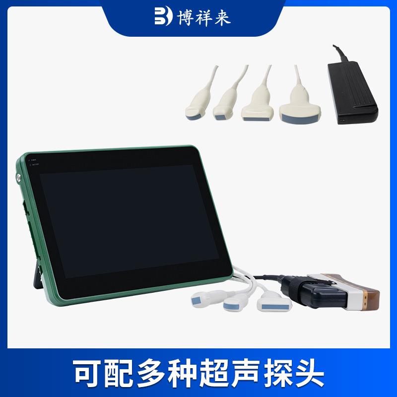 猪用卵泡检测仪母猪卵巢发育检测B超机批次化管理用B超仪