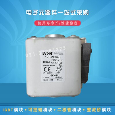 巴斯曼快速熔断器170M6645 6644 6645 6646 6647 6648 6649 6650