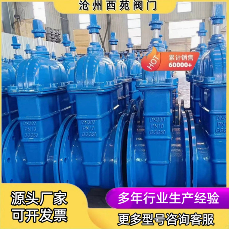 软密封法兰闸阀DN600-10