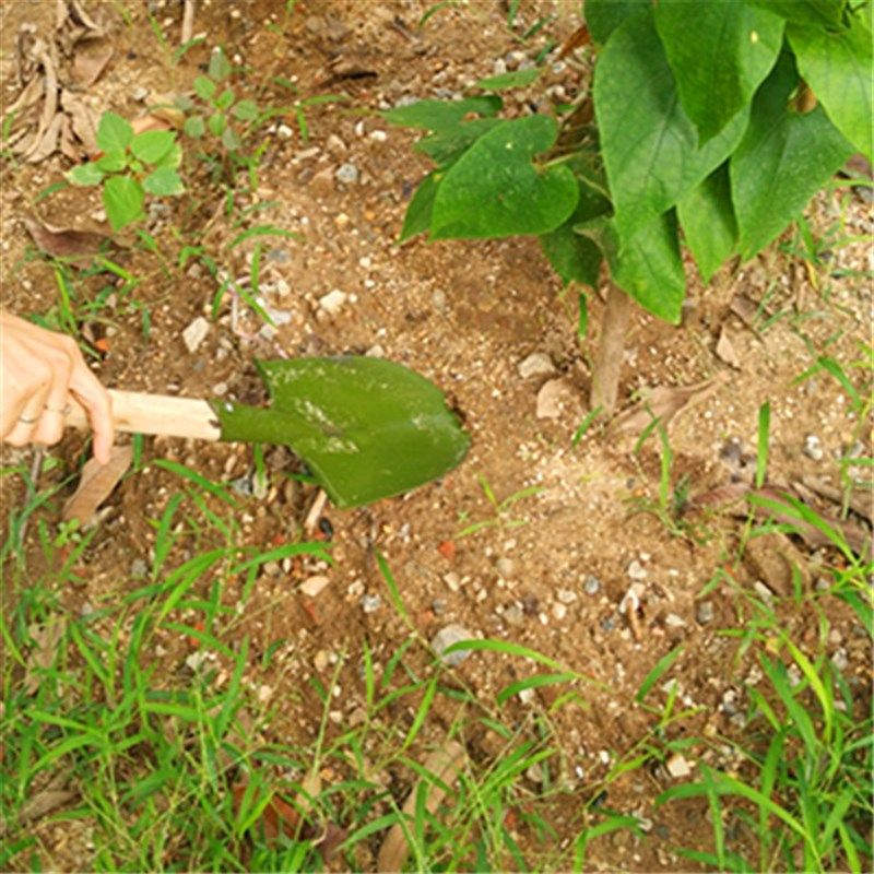 园艺工具木柄花锹 园艺铲 铁锹 小铲子 栽花种菜松土铁铲包邮,农机/农具/农膜,铲子,淘宝优惠券,粉丝福利购,淘宝优惠卷