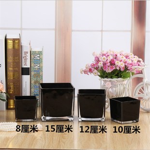 四方玻璃花瓶透明厚插水养绿萝文竹客厅家居摆放无土栽培植物花盆