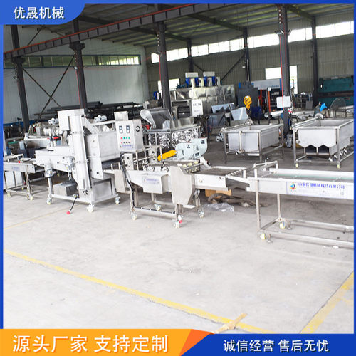 优晟 裹浆排骨块油炸流水线 裹浆清江鱼油炸机  罗非鱼连续油炸线
