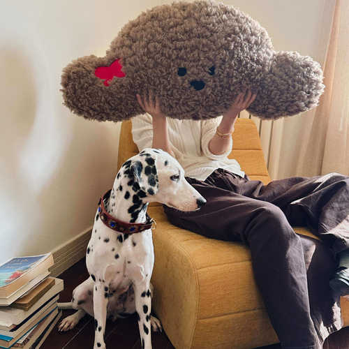 Uookqi原创蝴蝶发饰泰迪抱枕沙发软靠枕软包生日礼物送礼客厅卧室