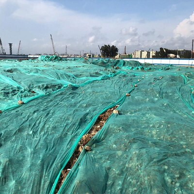 绿化无纺布绿色园林护坡边坡工地防尘盖土布草坪值草籽无纺布整卷
