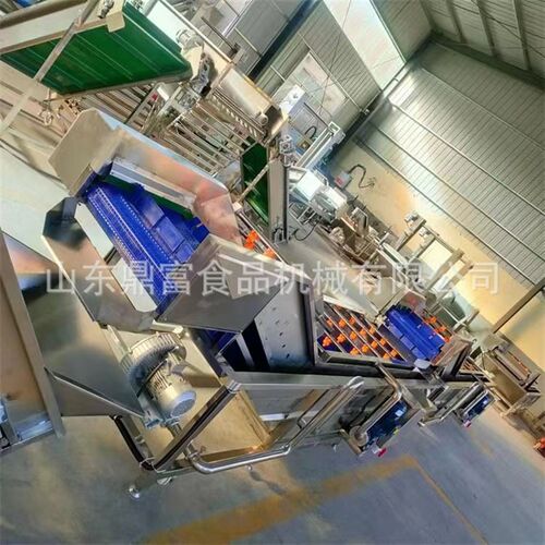 气泡涡流洗菜机 果蔬清洗机 可定果蔬清洗产线 涡流清洗机