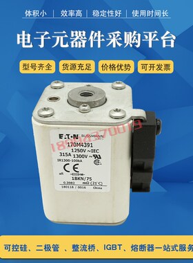 全新快速熔断器保险丝170M4363 170M4364 170M4365 170M4366