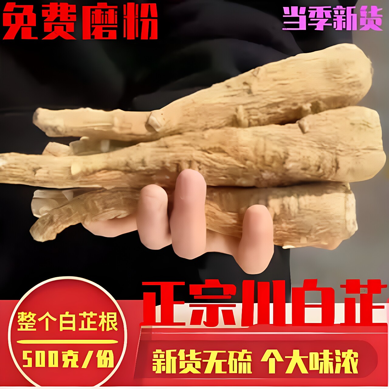 遂宁无硫新货白芷根免费磨粉