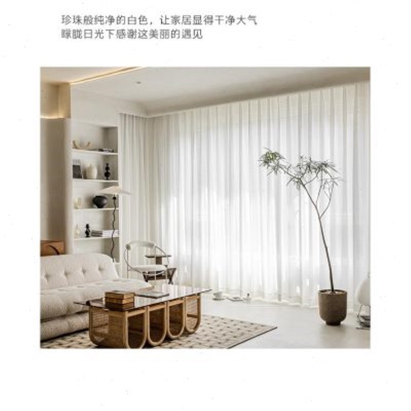 新品梦幻竖百叶h纱帘窗帘透光不透人客厅阳台白纱2024款纱帘飘窗