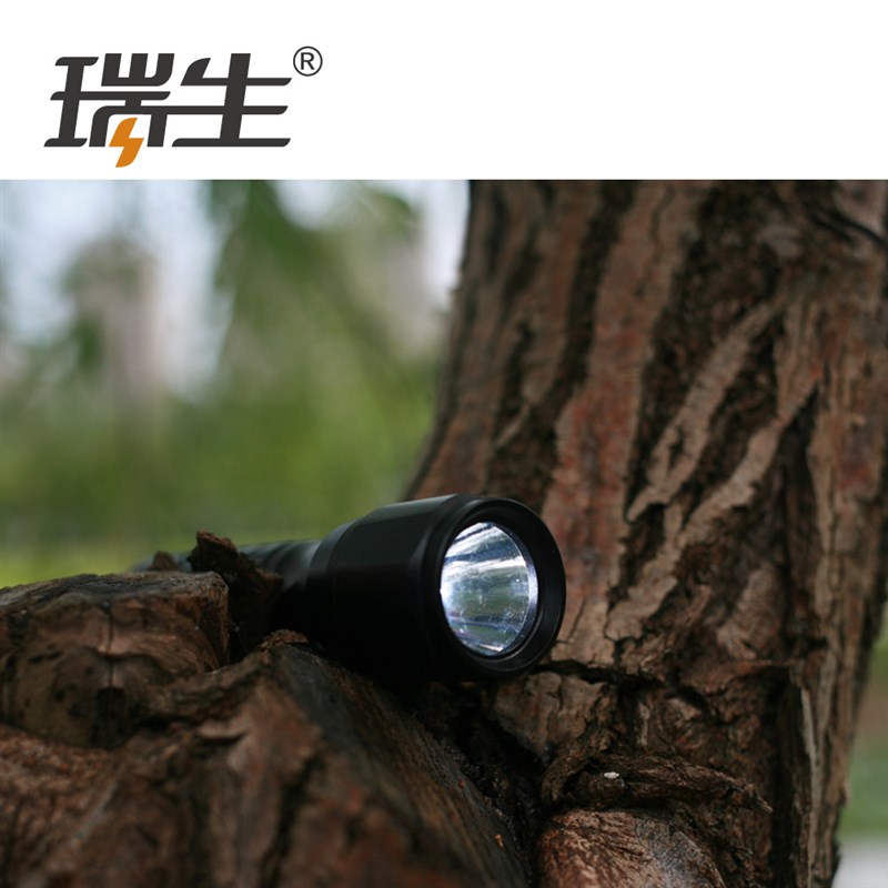 瑞生迷你小手电筒户外防水家用照明车载便携五5号AA一节干电池LED