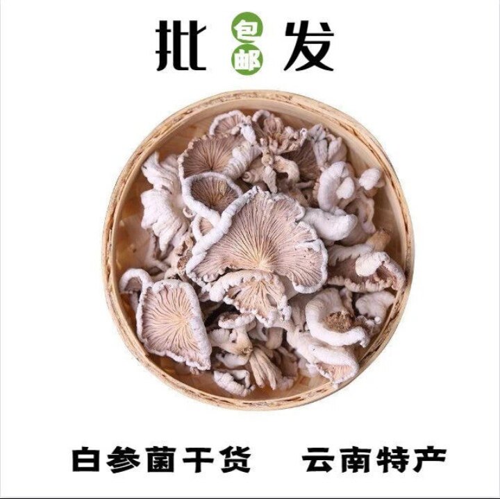 云南德宏白参菌干货农家自晒特产裂褶菌白花白参沙参树花批发商用