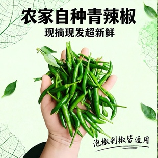 云南新鲜小米辣现摘现发青红辣椒指天椒青辣椒小米椒朝天椒1-5斤