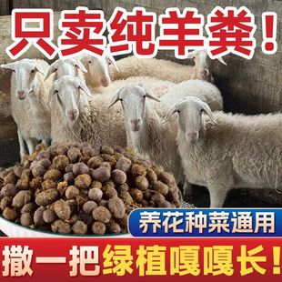 山东纯羊粪发酵有机肥无任何添加种花种菜透气营养羊粪蛋