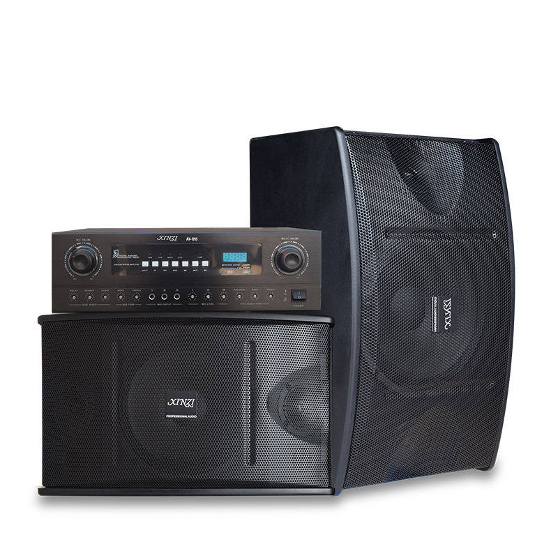 专业10寸家庭KTV卡包音响套装多媒体卡拉OK会议舞蹈室重低音音箱