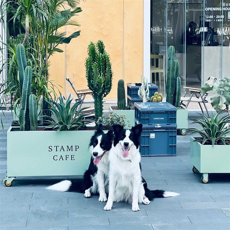 铁艺花箱室外种植花槽咖啡厅外摆隔断围栏带轮子可移动定制花坛,商业/办公家具,花坛/花箱,淘宝优惠券,粉丝福利购,淘宝优惠卷