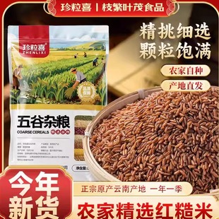 红糙米新米500g袋装云南红米五谷杂粮农家优质糙米饭黑米粗粮主食