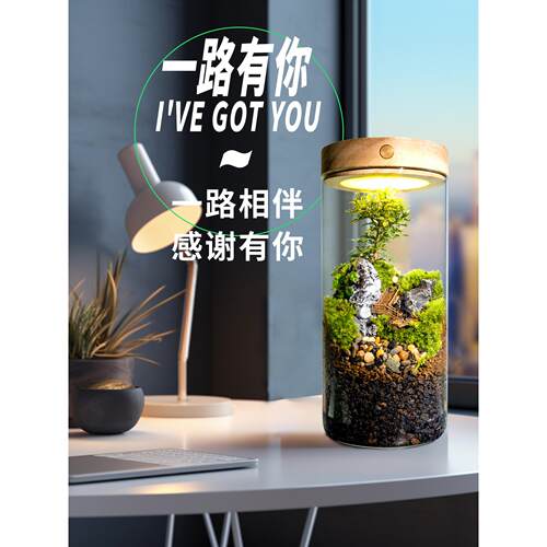 丘辰青苔藓微景观生态瓶办公室内桌面鲜活绿植DIY造景盆栽小摆件