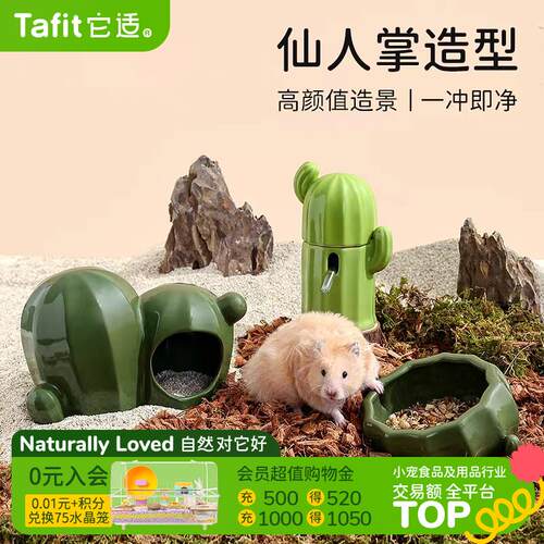 仙人掌陶瓷仓鼠食盆 立式小宠饮水器 金丝熊喝水碗 Tafit宠物喂食