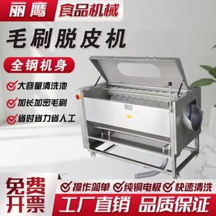 商用全自动毛刷去皮机脱皮机清洗芋头姜红薯地瓜土豆马铃薯脱皮器